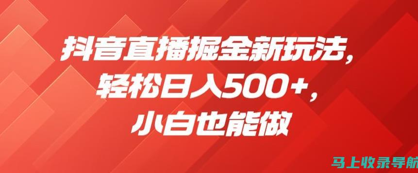 小白也能轻松掌握：深入浅出看网站建设基础流程